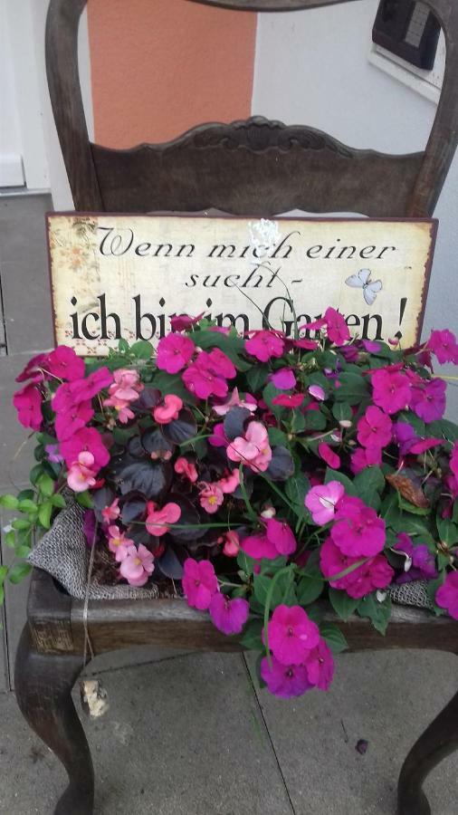 Fewo 1 Waren Mueritz - Haus Buchen Am Tiefwarensee - 1 Zi 外观 照片